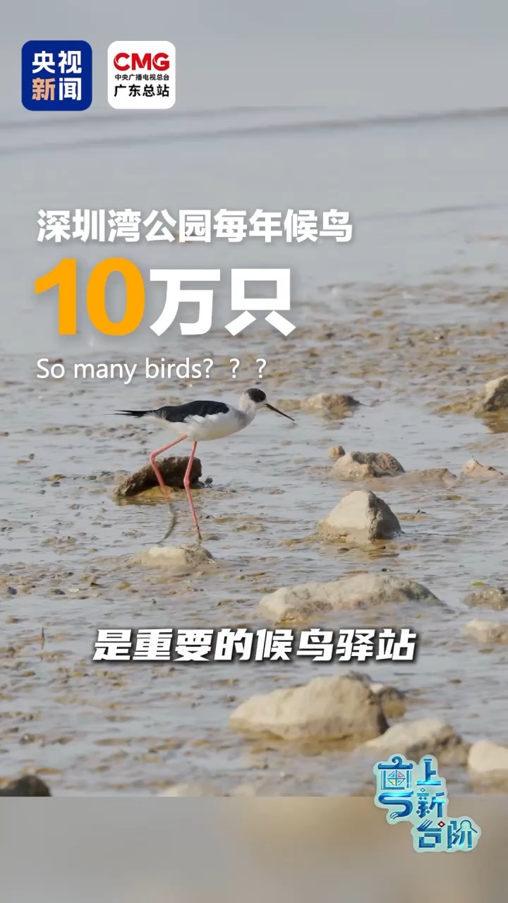 潮流玩法：极简风尚席卷游戏界 - 九游游戏中心1